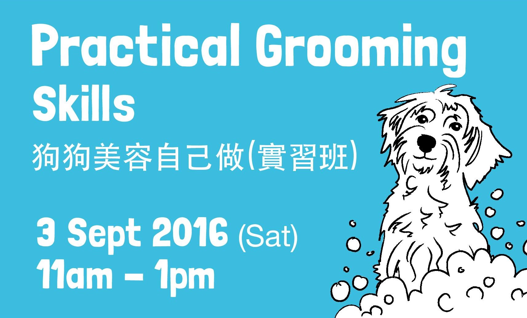 Grooming square Hong Kong Dog Rescue