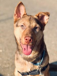 Gladys