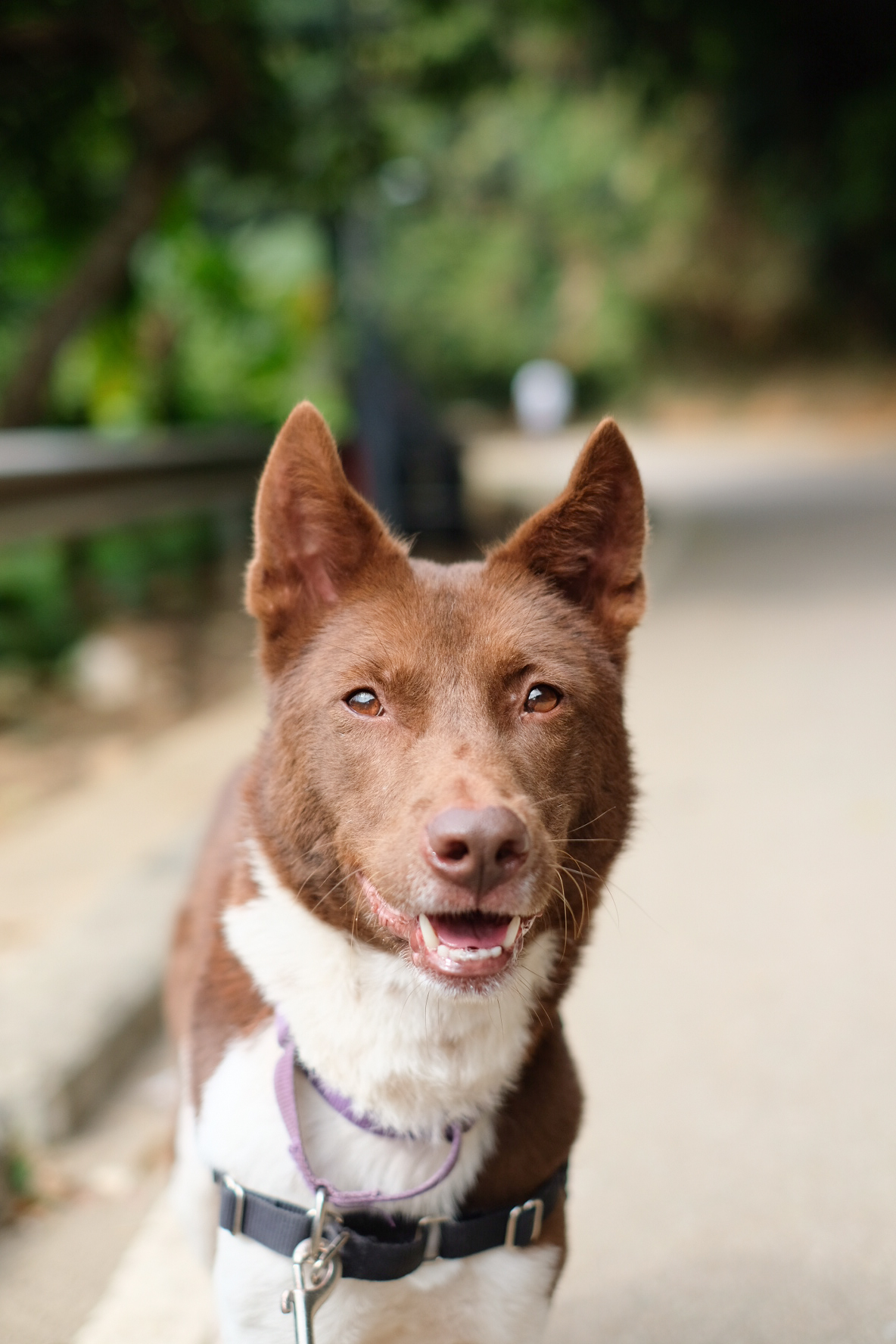 Ella