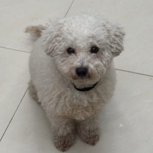 Nancy