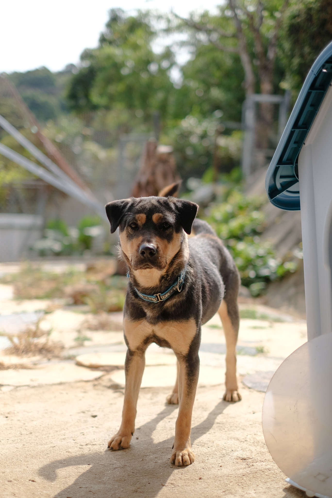 Xena