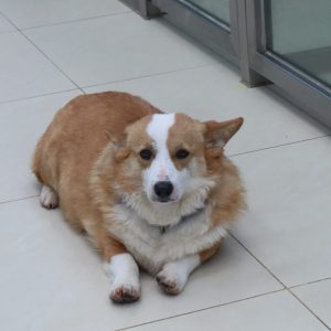 Nora