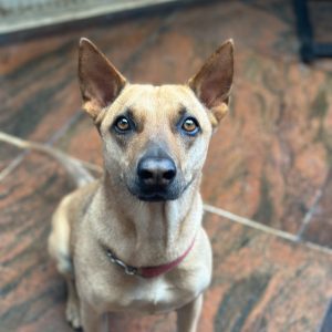 Chloe