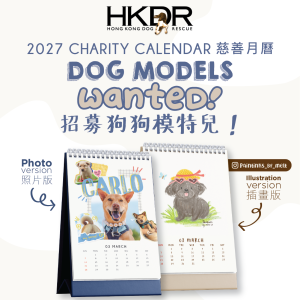 2027 Calendar-10 2027 Calendar-10