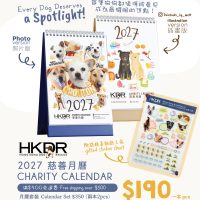 2027 Charity Calendar - social media-03 2027 Charity Calendar - social media-03