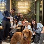 IMG_3368 IMG_3368